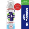 DESINF.LYSOFORM AEROSOL AIRE MONTAÑA 360CC x 6 un.