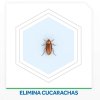 INSECTICIDA RAID 6 CEBOS 1UN x 3 un.